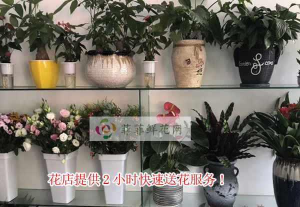 锡林郭勒盟二连浩特花店提供锡林郭勒盟二连浩特2小时快速送花服务