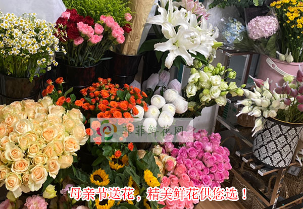2024锡林郭勒盟二连浩特母亲节送花,锡林郭勒盟二连浩特精美鲜花供您选!